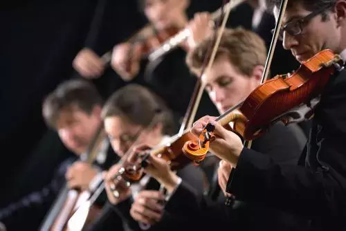 学习小提琴的众多好处，你知道几个？
