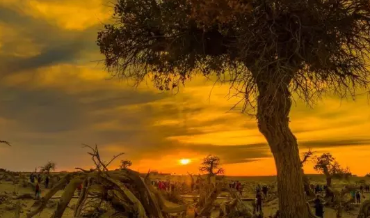 抖音快手的投放设置有哪些技巧？