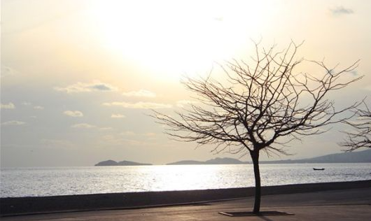 抖音快手如何在视频中运用稀缺独家型突出关注的好处？